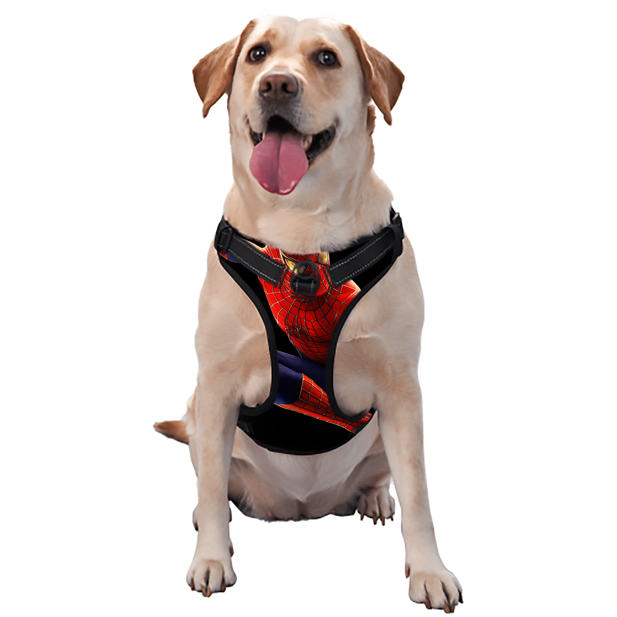 （画像用） Spider Man スパイダーマン ペット用ハーネス